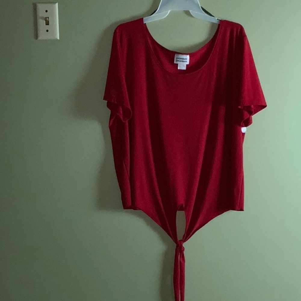Promises promises blouse size 3X NWT